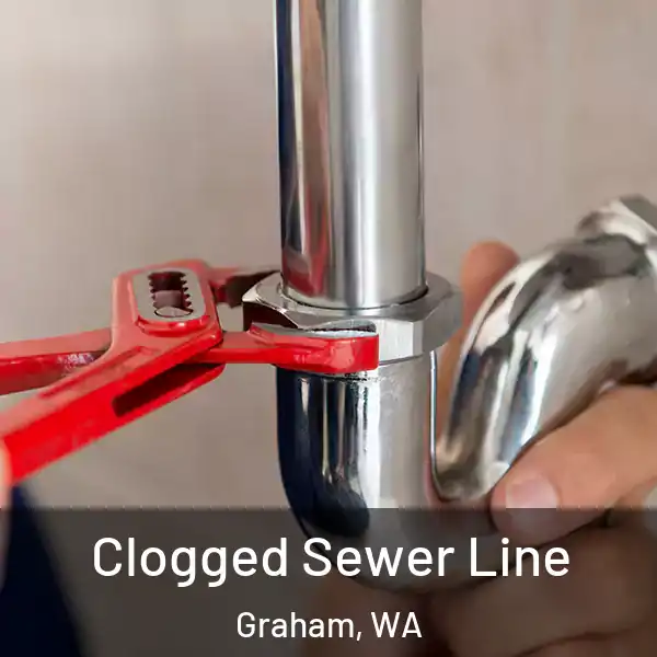  Clogged Sewer Line Graham, WA